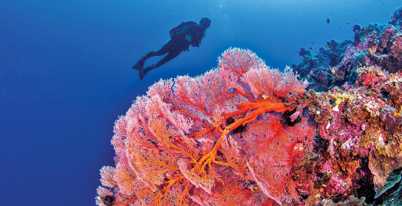 Pristine Paradise Dive Resort - Togean Islands, Una Una Pulau Unauna المظهر الخارجي الصورة